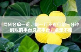 网贷名单一览，借一万不看征信三分钟到账的平台贷款平台，拿走不谢