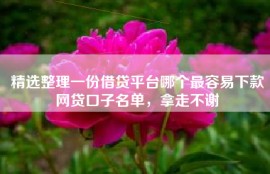 精选整理一份借贷平台哪个最容易下款网贷口子名单，拿走不谢