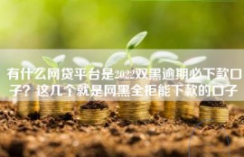 有什么网贷平台是2022双黑逾期必下款口子？这几个就是网黑全拒能下款的口子