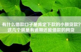 有什么借款口子是肯定下款的小额贷款？这几个就是有逾期还能借款的网贷