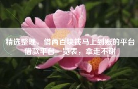 精选整理，借两百块钱马上到账的平台借款平台一览表，拿走不谢