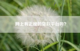 网上有正规的贷款平台吗？