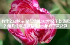 有什么贷款app是征信乱2022年必下款贷款？这几个就是征信乱2022年必下款贷款