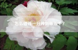 怎么借钱一分钟到账五千？