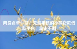 网贷名单一览，无需审核的小额贷款借款平台，拿走不谢