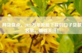 网贷盘点，2022万年拒能下款的口子贷款名单，值得关注！