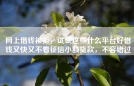 网上借钱被拒，试试这些什么平台好借钱又快又不看征信小额贷款，不容错过