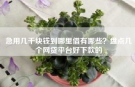 急用几千块钱到哪里借有哪些？盘点几个网贷平台好下款的