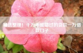 精选整理！千万不能错过的贷款一万借款口子