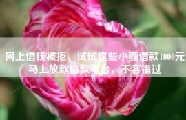 网上借钱被拒，试试这些小额借款1000元马上放款借款平台，不容错过