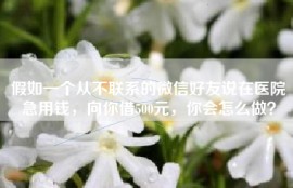 假如一个从不联系的微信好友说在医院急用钱，向你借500元，你会怎么做？