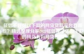 征信不好可以下款的网贷贷款平台有哪些？精选整理分享2022征信花了还能下款的网贷有吗网贷口子