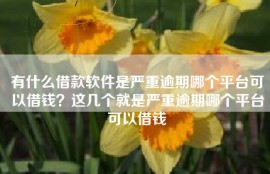 有什么借款软件是严重逾期哪个平台可以借钱？这几个就是严重逾期哪个平台可以借钱