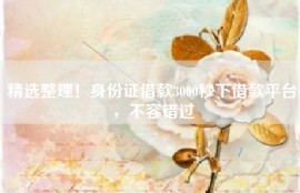 精选整理！身份证借款3000秒下借款平台，不容错过