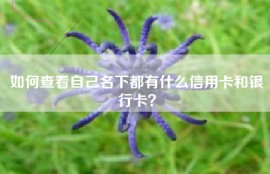 如何查看自己名下都有什么信用卡和银行卡？