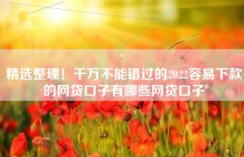精选整理！千万不能错过的2022容易下款的网贷口子有哪些网贷口子