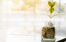 网上借钱被拒，试试这些免审核小额贷款贷款，不容错过