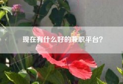 现在有什么好的兼职平台？