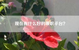 现在有什么好的兼职平台？