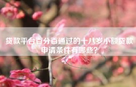 贷款平台百分百通过的十八岁小额贷款申请条件有哪些？