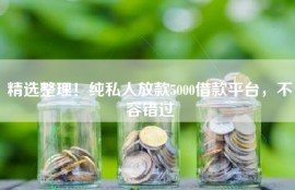 精选整理！纯私人放款5000借款平台，不容错过