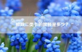 邮政二类卡的限额是多少？