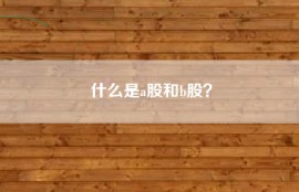 什么是a股和b股？