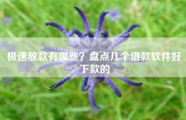 极速放款有哪些？盘点几个借款软件好下款的