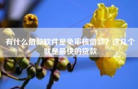 有什么借款软件是免审核借款？这几个就是最快的贷款