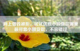 网上借钱被拒，试试这些小额贷款哪里最可靠小额贷款，不容错过