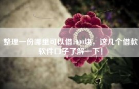 整理一份哪里可以借1000块，这几个借款软件口子了解一下！