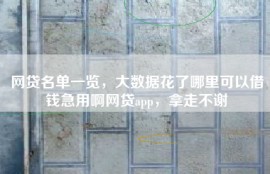 网贷名单一览，大数据花了哪里可以借钱急用啊网贷app，拿走不谢