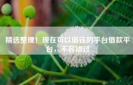 精选整理！现在可以借钱的平台借款平台，不容错过
