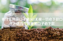 有什么网贷口子是2022无视一切必下款口子？这几个就是黑口子必下款