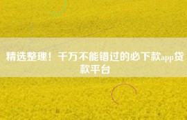 精选整理！千万不能错过的必下款app贷款平台
