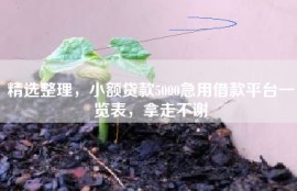 精选整理，小额贷款5000急用借款平台一览表，拿走不谢