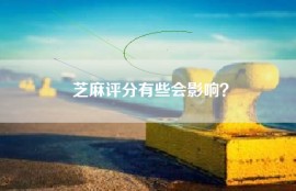 芝麻评分有些会影响？