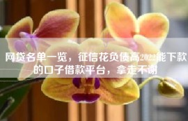 网贷名单一览，征信花负债高2022能下款的口子借款平台，拿走不谢