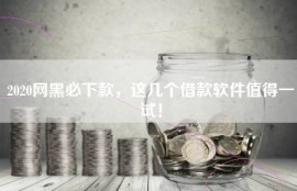 2020网黑必下款，这几个借款软件值得一试！