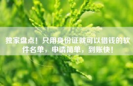 独家盘点！只用身份证就可以借钱的软件名单，申请简单，到账快！