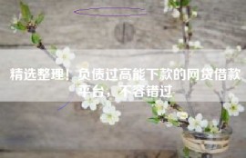 精选整理！负债过高能下款的网贷借款平台，不容错过