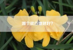 哪个银行理财好？