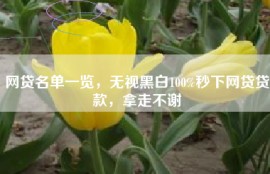 网贷名单一览，无视黑白100%秒下网贷贷款，拿走不谢