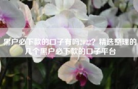 黑户必下款的口子有吗2022？精选整理的几个黑户必下款的口子平台