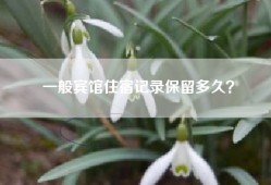 一般宾馆住宿记录保留多久？