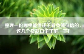 整理一份哪里能借钱不看负债征信的，这几个贷款口子了解一下！
