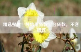 精选整理！纯信用贷款平台贷款，不容错过