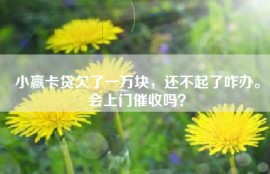 小赢卡贷欠了一万块，还不起了咋办。会上门催收吗？