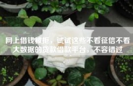 网上借钱被拒，试试这些不看征信不看大数据的贷款借款平台，不容错过