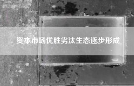 资本市场优胜劣汰生态逐步形成